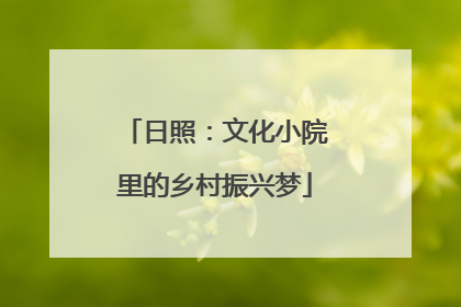 日照：文化小院里的乡村振兴梦