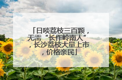 日啖荔枝三百颗，无需“长作岭南人”，长沙荔枝大量上市，价格亲民