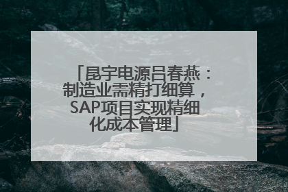 昆宇电源吕春燕：制造业需精打细算，SAP项目实现精细化成本管理