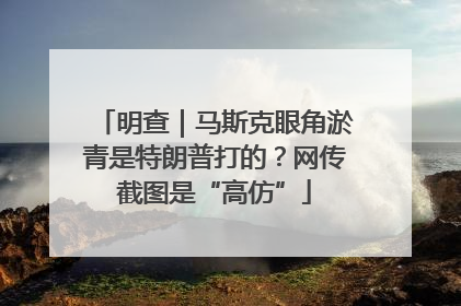 明查｜马斯克眼角淤青是特朗普打的？网传截图是“高仿”