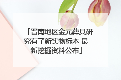 晋南地区金元葬具研究有了新实物标本 最新挖掘资料公布