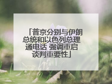 普京分别与伊朗总统和以色列总理通电话 强调重启谈判重要性