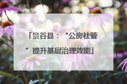 景谷县：“公房社管”提升基层治理效能