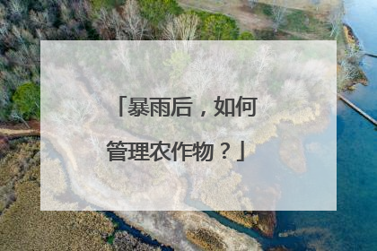暴雨后，如何管理农作物？