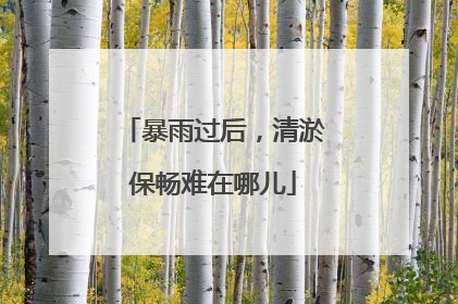 暴雨过后，清淤保畅难在哪儿
