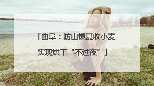 曲阜：防山镇夏收小麦实现烘干“不过夜”