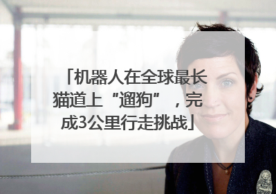 机器人在全球最长猫道上“遛狗”，完成3公里行走挑战