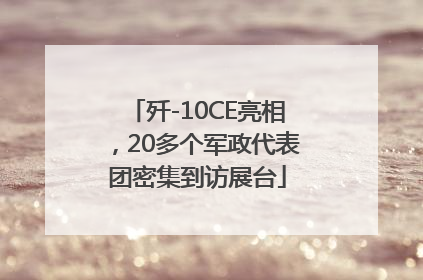 歼-10CE亮相，20多个军政代表团密集到访展台