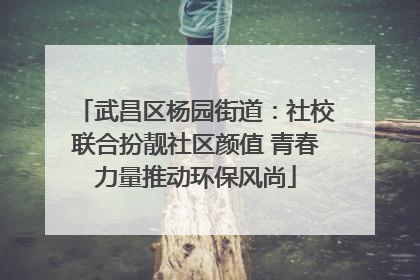 武昌区杨园街道：社校联合扮靓社区颜值 青春力量推动环保风尚