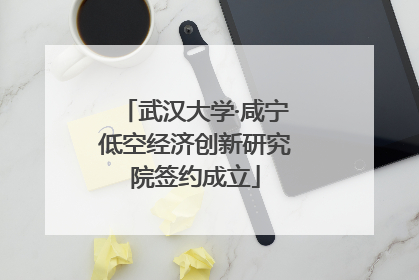 武汉大学·咸宁低空经济创新研究院签约成立