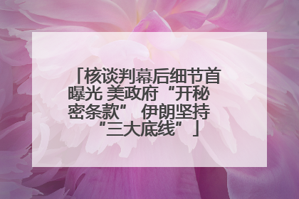 核谈判幕后细节首曝光 美政府“开秘密条款” 伊朗坚持“三大底线”