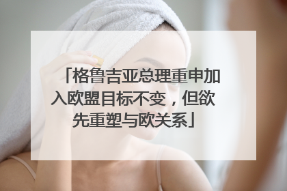 格鲁吉亚总理重申加入欧盟目标不变，但欲先重塑与欧关系