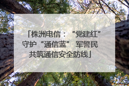 株洲电信：“党建红”守护“通信蓝” 军警民共筑通信安全防线