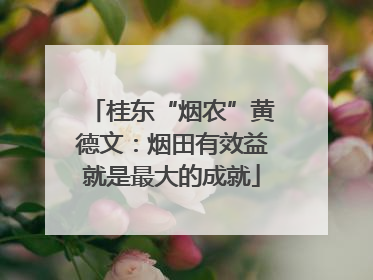 桂东“烟农”黄德文：烟田有效益就是最大的成就