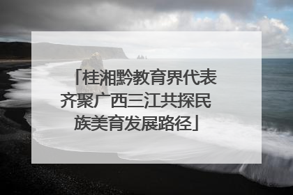 桂湘黔教育界代表齐聚广西三江共探民族美育发展路径