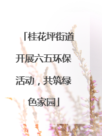 桂花坪街道开展六五环保活动，共筑绿色家园
