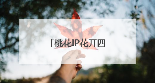 桃花IP花开四季，肥城打造全域旅游新标杆