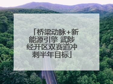 桥梁动脉+新能源引擎 武陟经开区双赛道冲刺半年目标