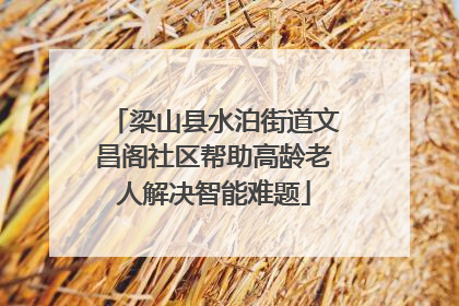 梁山县水泊街道文昌阁社区帮助高龄老人解决智能难题