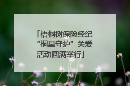 梧桐树保险经纪“桐星守护”关爱活动圆满举行