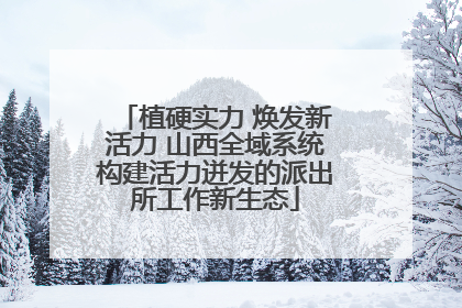 植硬实力 焕发新活力 山西全域系统构建活力迸发的派出所工作新生态