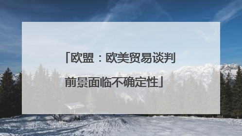 欧盟：欧美贸易谈判前景面临不确定性