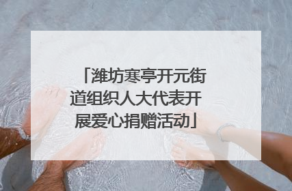 潍坊寒亭开元街道组织人大代表开展爱心捐赠活动