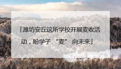 潍坊安丘这所学校开展麦收活动，盼学子 “麦” 向未来