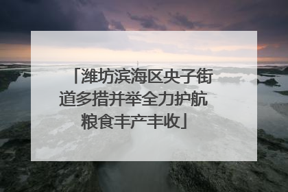潍坊滨海区央子街道多措并举全力护航粮食丰产丰收