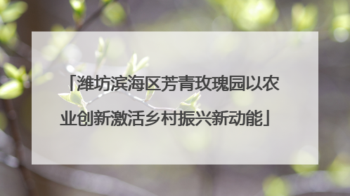 潍坊滨海区芳青玫瑰园以农业创新激活乡村振兴新动能
