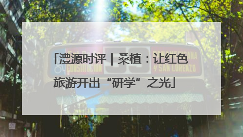 澧源时评｜桑植：让红色旅游开出“研学”之光