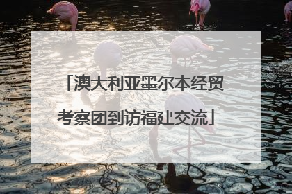 澳大利亚墨尔本经贸考察团到访福建交流