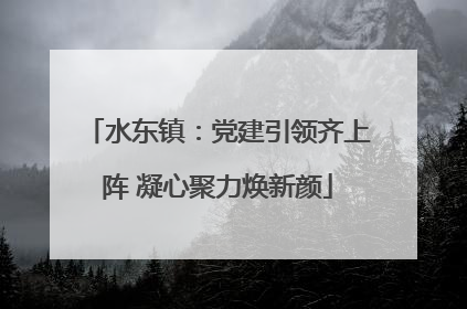 水东镇：党建引领齐上阵 凝心聚力焕新颜