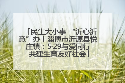 民生大小事 “沂心沂意”办丨淄博市沂源县悦庄镇：5·29与爱同行 共建生育友好社会