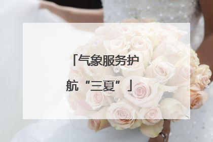气象服务护航“三夏”