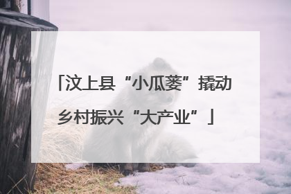 汶上县“小瓜蒌”撬动乡村振兴“大产业”