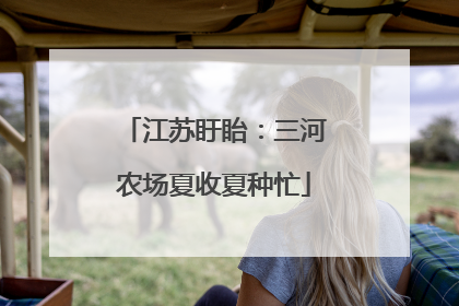 江苏盱眙：三河农场夏收夏种忙