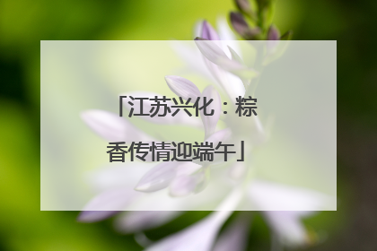 江苏兴化：粽香传情迎端午
