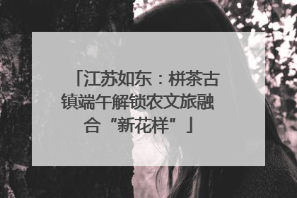 江苏如东：栟茶古镇端午解锁农文旅融合“新花样”