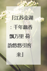 江苏金湖：千年藕香飘万里 荷韵悠悠引客来