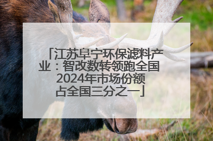 江苏阜宁环保滤料产业：智改数转领跑全国 2024年市场份额占全国三分之一