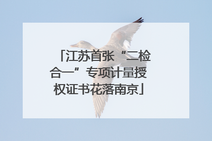 江苏首张“二检合一”专项计量授权证书花落南京