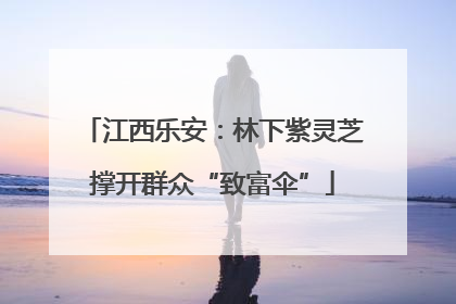 江西乐安：林下紫灵芝撑开群众“致富伞”