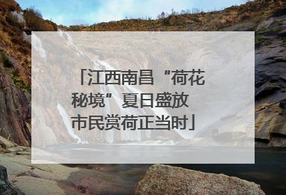 江西南昌“荷花秘境”夏日盛放 市民赏荷正当时