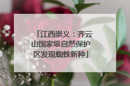 江西崇义：齐云山国家级自然保护区发现蜘蛛新种
