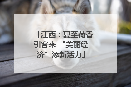 江西：夏至荷香引客来 “美丽经济”添新活力