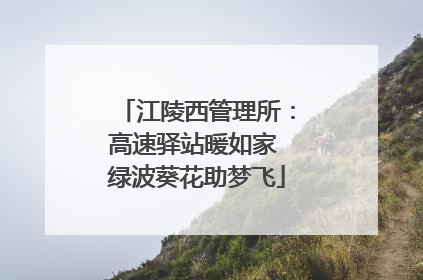 江陵西管理所：高速驿站暖如家 绿波葵花助梦飞