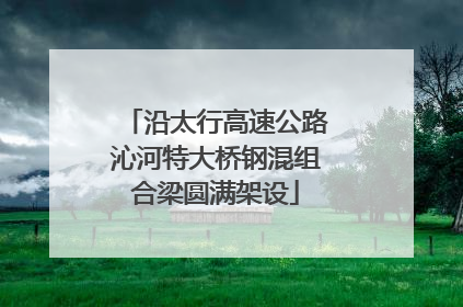 沿太行高速公路沁河特大桥钢混组合梁圆满架设