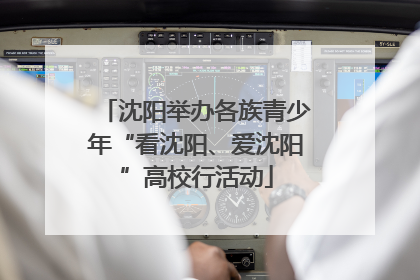 沈阳举办各族青少年“看沈阳、爱沈阳”高校行活动