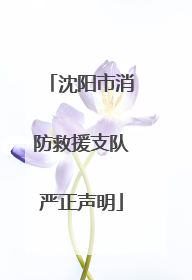 沈阳市消防救援支队严正声明